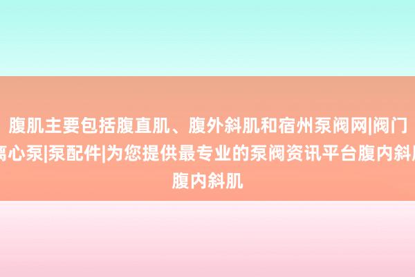 腹肌主要包括腹直肌、腹外斜肌和宿州泵阀网|阀门|离心泵|泵配件|为您提供最专业的泵阀资讯平台腹内斜肌