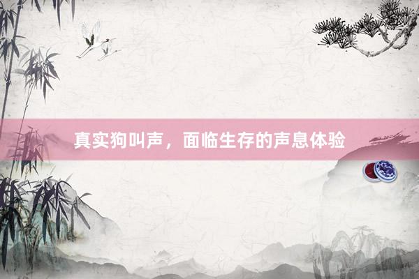 真实狗叫声，面临生存的声息体验